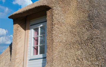 Obley thatch roof disadvantages